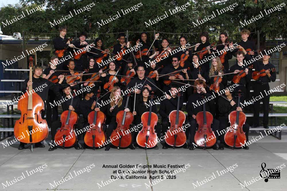 Musical Images